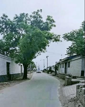 微信图片_20200520090716.jpg
