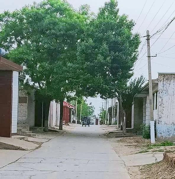 微信图片_20200520090915.jpg